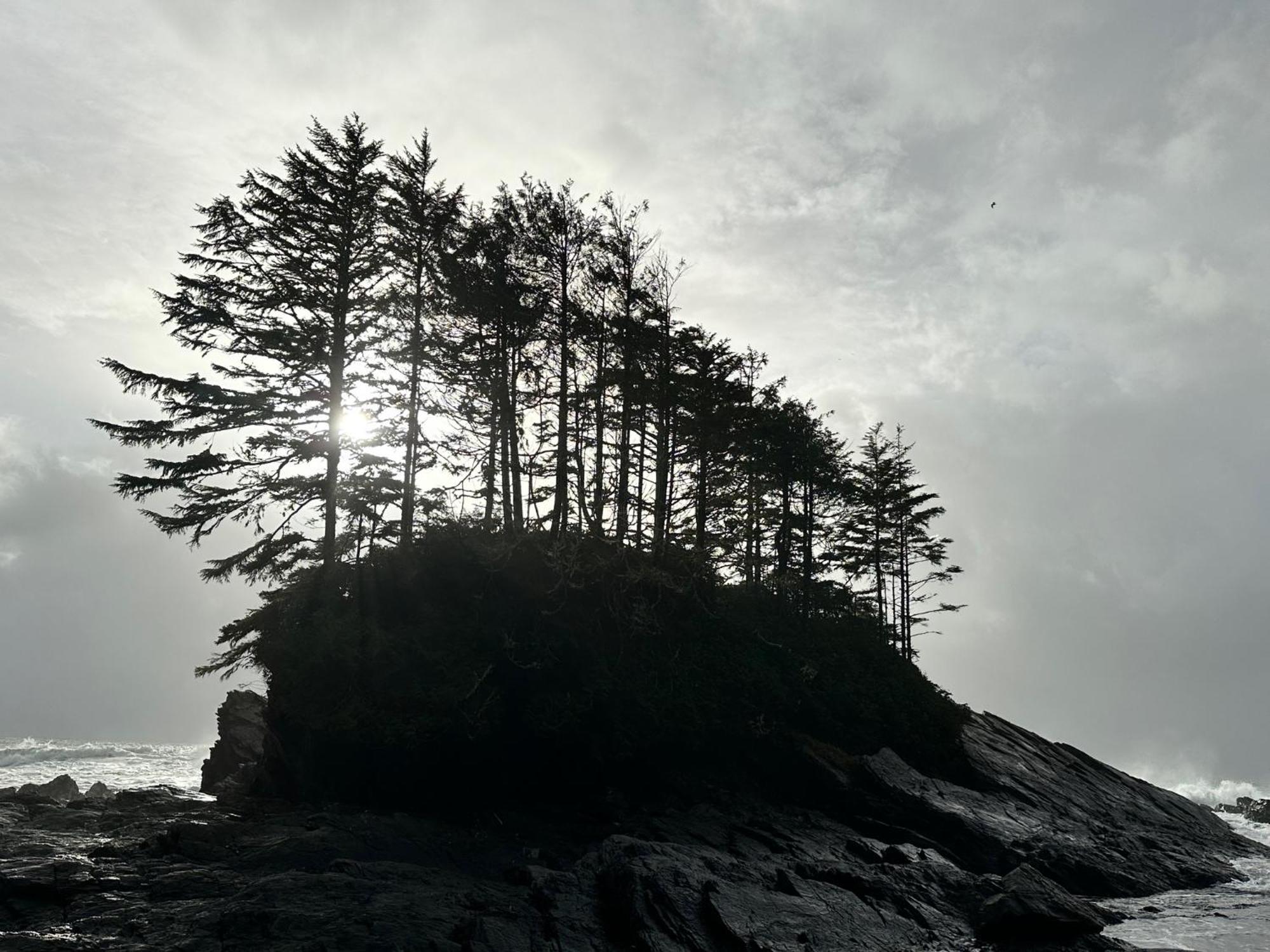 Villa Bjorn Holm Port Renfrew Esterno foto